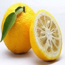 유자향기2 이미지