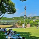 두류공원 이미지