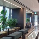 지에스25 나인트리로카우스점 이미지