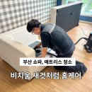 여성전용출장아로마홈케어 | 아이있는집 부산 쇼파 매트리스 청소 솔직후기 비치움 새것처럼 홈케어