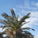 산방산에 펜션 이미지