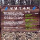 광교산 성복동 등산로 이미지