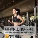 윌핏 이미지