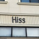 4231 | 대전 파충류샵 추천 ‘히스 HISS' 도마뱀 분양 추천