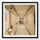 은성식자재마트 | 행신동 숙소 알아보다가 진짜 보석 같은 곳을 발견했어요! 더스테이42