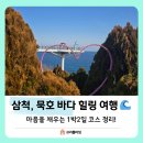 삼척에서 찾은 인생 숙소 & 묵호 문어강정·김밥 먹고 도째비골까지! 1박 2일 동해 여행