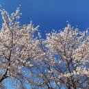 경안천로256번길 이미지