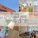 봉평허니농원 | 평창카페 트리고 여행 중 더위 피해 찾은 모던 스타일의 봉평 카페