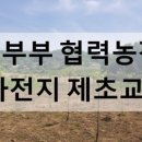 정용농장 이미지