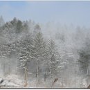 황태덕장 이미지