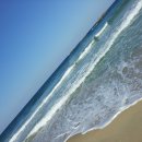 동해바다 이미지