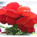 복주머니 이미지