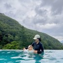 해븐 | [해븐나인스파 후기] 포레스트 리솜 숲속에서 즐기는 인피니티풀, 15개월 아기와 함께