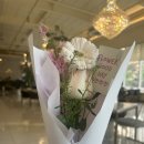 정성한줄일산식사점 | 37.5 일산식사점 청모 후기, 일산 식사동 브런치 맛집