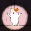 모아가꼬
