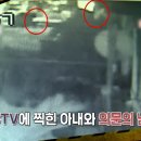조경농장 이미지