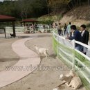 고래놀이터 이미지