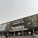 (주)동성원더파크 | 📍 과천 원더 파크 × 베베핀 콜라보 방문기