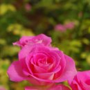 오수농장 이미지