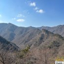 정통중화요리삼팔공공 이미지