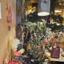 아구1번지 이미지