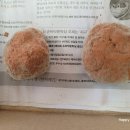 빛누리유치원 이미지