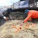 불탄도마을 이미지