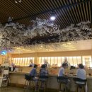 스시소담 이미지