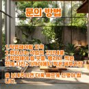 용산-현장-777 이미지