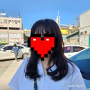 일상 블로그 ʕتʔ