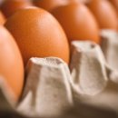 김우정농장 이미지