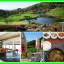 강산골프연습장 | 360도 CC 경기도 골프장 양잔디의 푸르름에 코스 묘미있네!!(인코스)