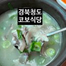 코보식당 이미지