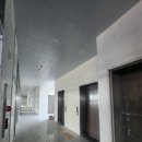 에코메디칼 이미지