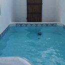 그날 오후 이미지