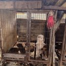 원문농장 이미지