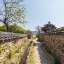 무궁화소프트.com 이미지