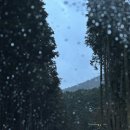 시도21호선 | 경남 가족 커플 숙소 추천 사천 케이블카 자연휴양림 21호 복층형 내돈내산 후기