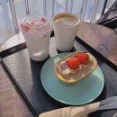 카페벨라 | 홍대 단체모임하기 좋은 대형카페 허밍벨라 내돈내산 후기