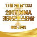 2017 MMA 카카오핫스타상 에리오너라 이미지