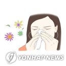 분당-356 이미지