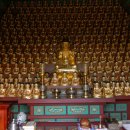 완도 신흥사 목조약사여래좌상 이미지