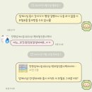 몇 달을 고민하다 가입 완! 펫 보험 추천 ✨