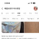 예썹브로우