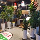 보람동_세종세무서 맞은편 이미지