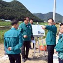 남천제방 이미지