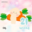 [임신일기] 21w ~ 24w일상(태교여행을 곁들인 + 에덴병원 정밀초음파 임종찬원장님 추천)