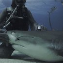 상어피시방 이미지