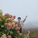 추억만들기민박 | 허심산방에서 감악산까지 2박3일 추억