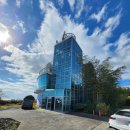 코우코알라 이미지